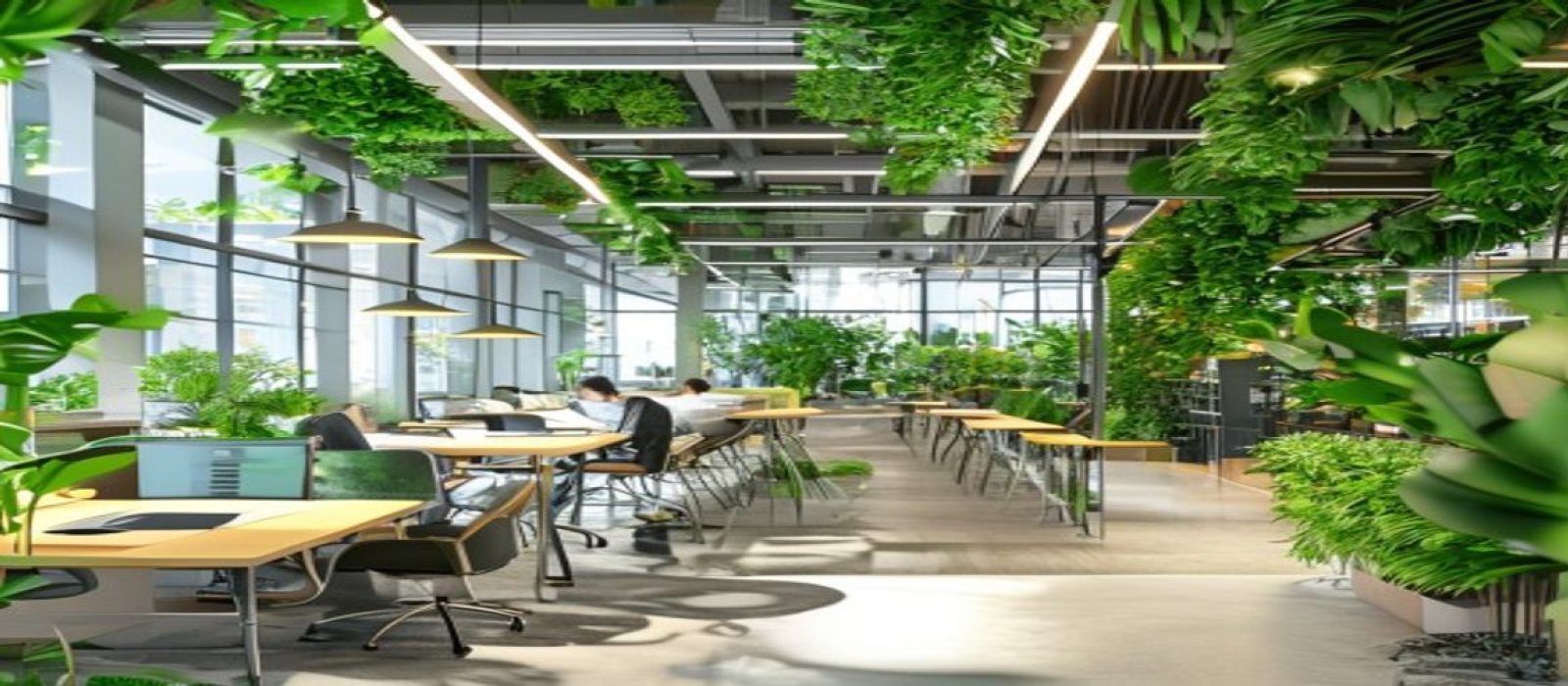 横恋母品牌总部办公环境全景，现代化开放式工作区，绿植环绕，团队成员专注协作，展现专业与活力并存的企业氛围